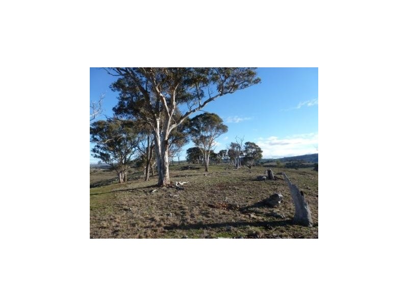 1240 Corringle Lane, Boorowa NSW 2586
