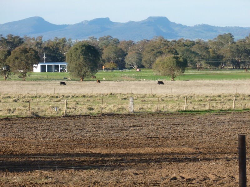 192 Quartz Hill Road, Jindera NSW 2642