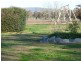 192 Quartz Hill Road, Jindera NSW 2642