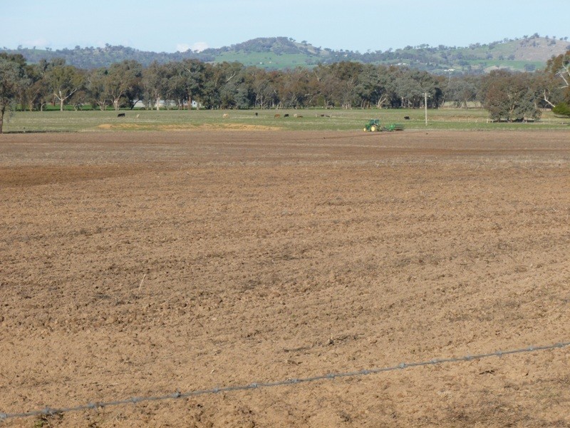 192 Quartz Hill Road, Jindera NSW 2642