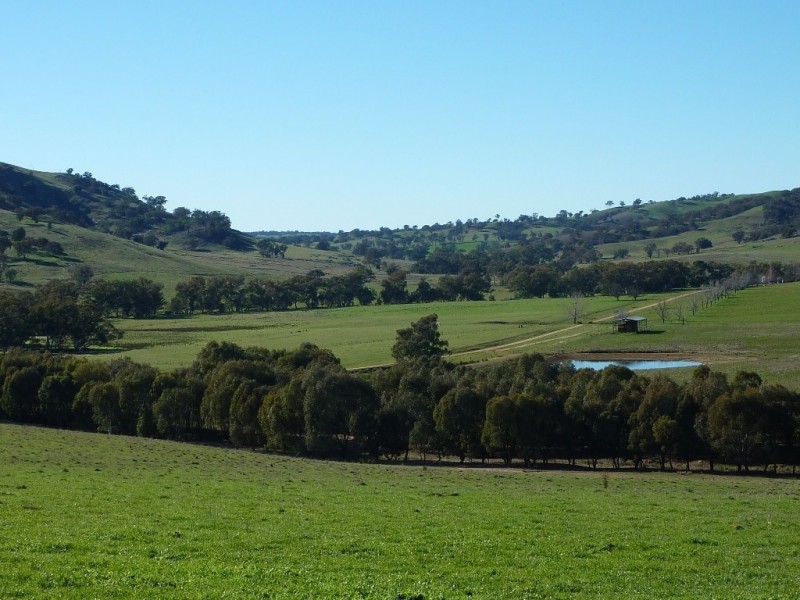 146 Pulletop Poad, Wagga Wagga NSW 2650