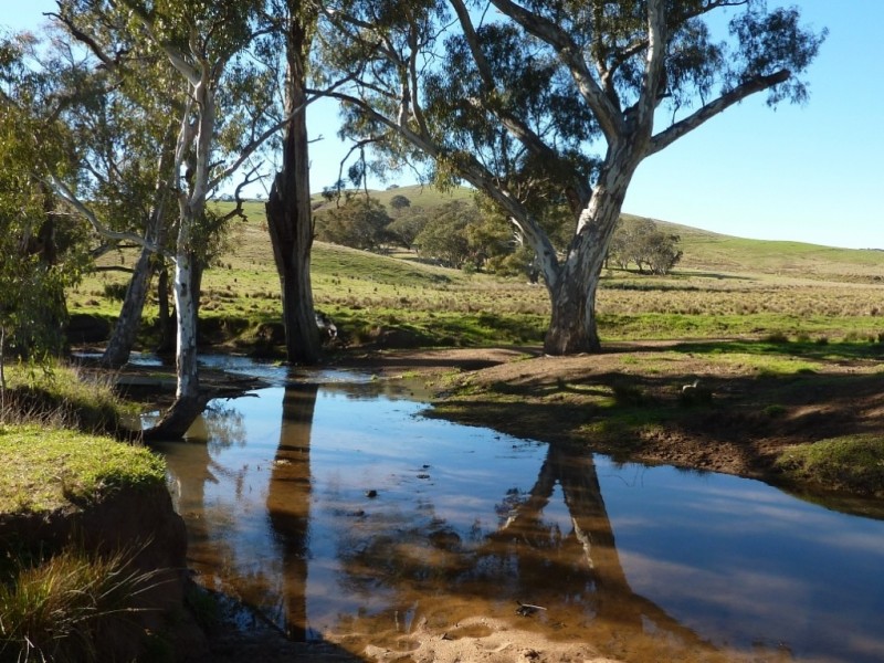 146 Pulletop Poad, Wagga Wagga NSW 2650