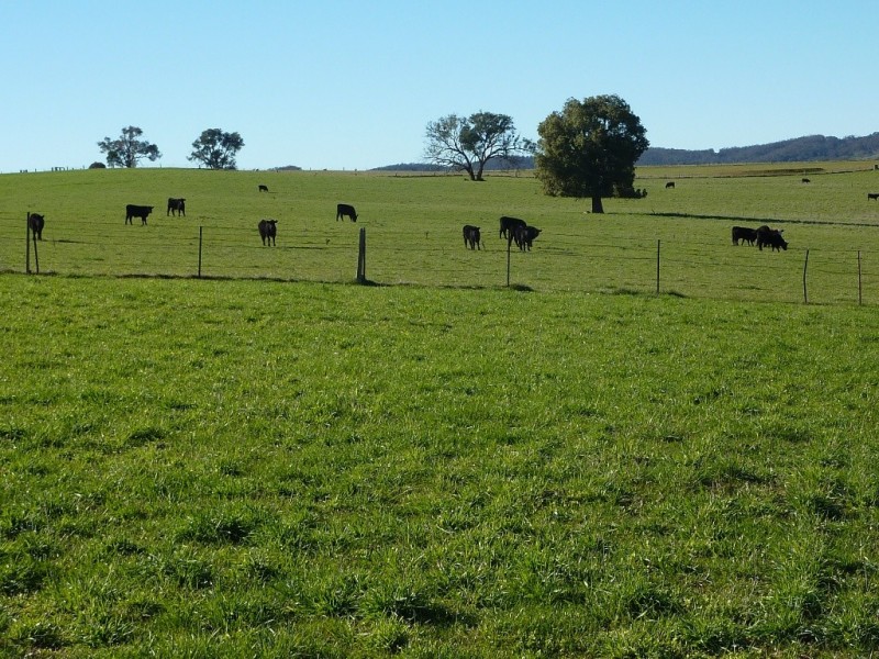 146 Pulletop Poad, Wagga Wagga NSW 2650