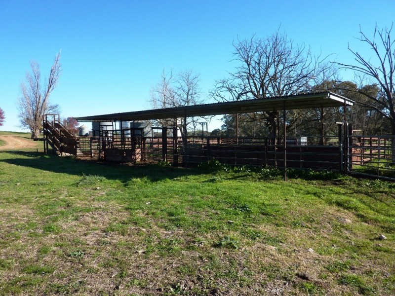 146 Pulletop Poad, Wagga Wagga NSW 2650