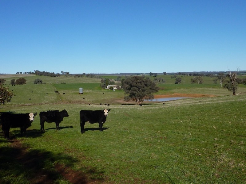 146 Pulletop Poad, Wagga Wagga NSW 2650