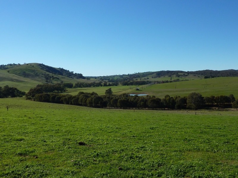 146 Pulletop Poad, Wagga Wagga NSW 2650