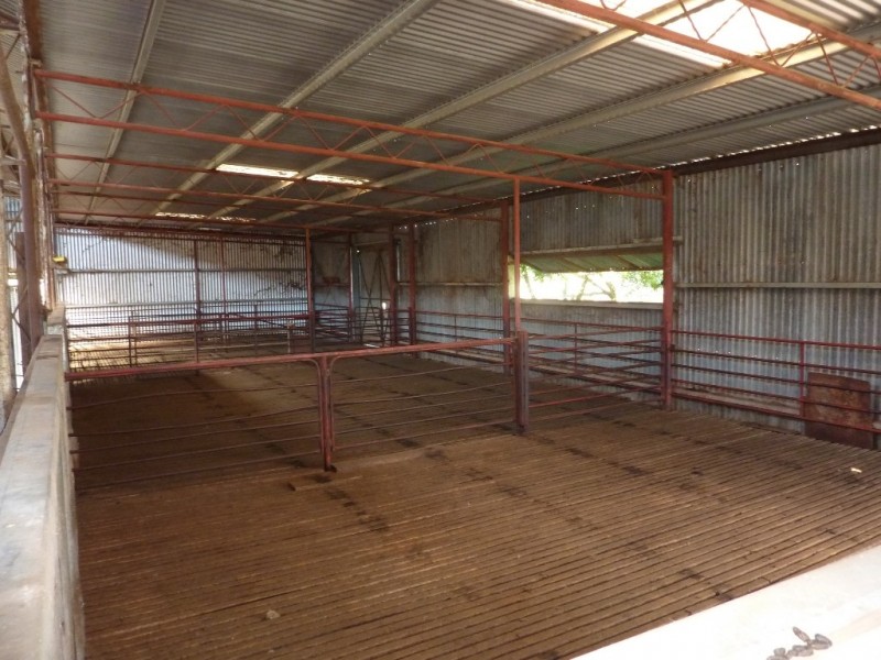 146 Pulletop Poad, Wagga Wagga NSW 2650