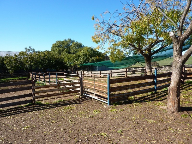 146 Pulletop Poad, Wagga Wagga NSW 2650