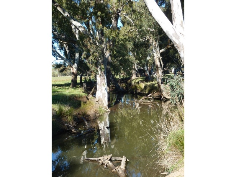 146 Pulletop Poad, Wagga Wagga NSW 2650