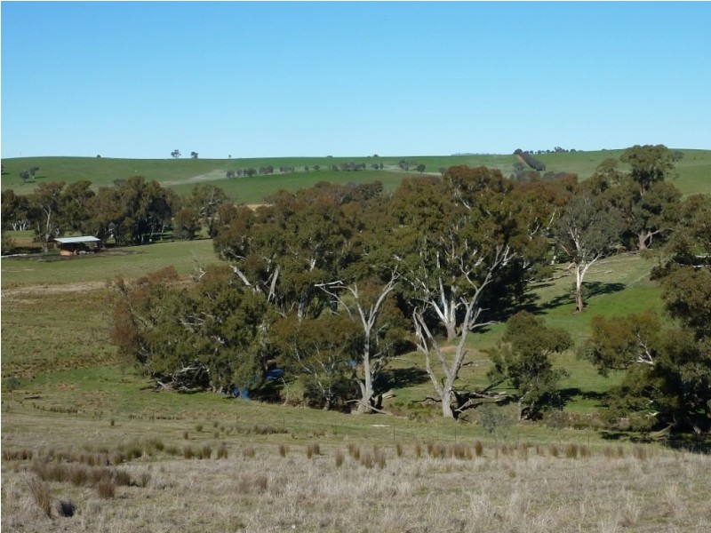 146 Pulletop Poad, Wagga Wagga NSW 2650