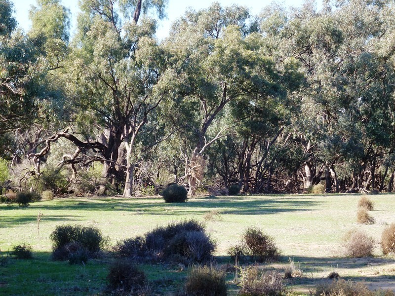 “Booabula” Booabula Road, Wanganella NSW 2710