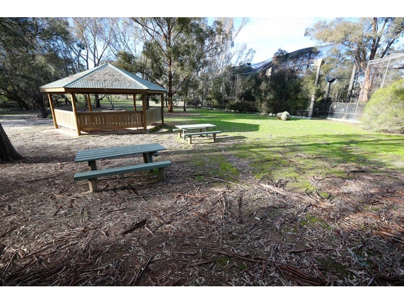 43 Sanctuary Lane, Ettamogah NSW 2640