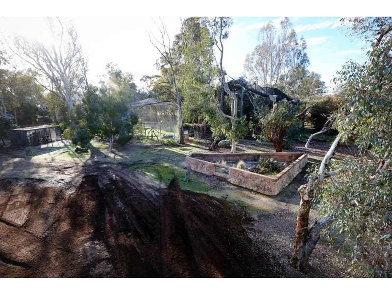 43 Sanctuary Lane, Ettamogah NSW 2640