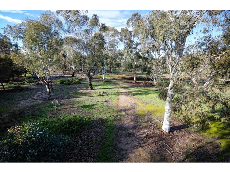 43 Sanctuary Lane, Ettamogah NSW 2640