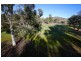 43 Sanctuary Lane, Ettamogah NSW 2640