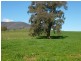 1997 Gundowring Road, Gundowring VIC 3691