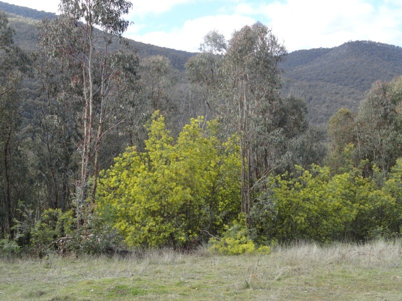 Lot 4 Larkin Lane, Upper Gundowring VIC 3691