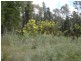 Lot 4 Larkin Lane, Upper Gundowring VIC 3691