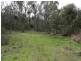 Lot 4 Larkin Lane, Upper Gundowring VIC 3691