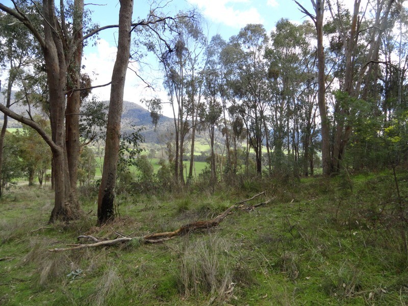 Lot 4 Larkin Lane, Upper Gundowring VIC 3691