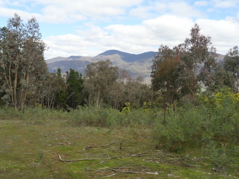 Lot 4 Larkin Lane, Upper Gundowring VIC 3691