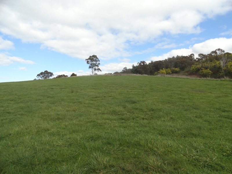 Lot 4 Larkin Lane, Upper Gundowring VIC 3691