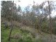 Lot 4 Larkin Lane, Upper Gundowring VIC 3691