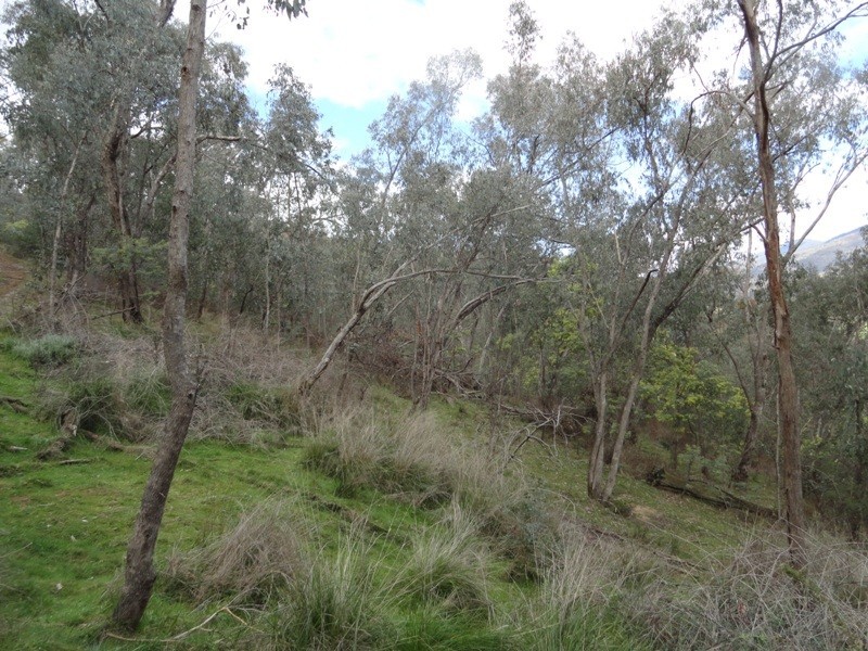 Lot 4 Larkin Lane, Upper Gundowring VIC 3691
