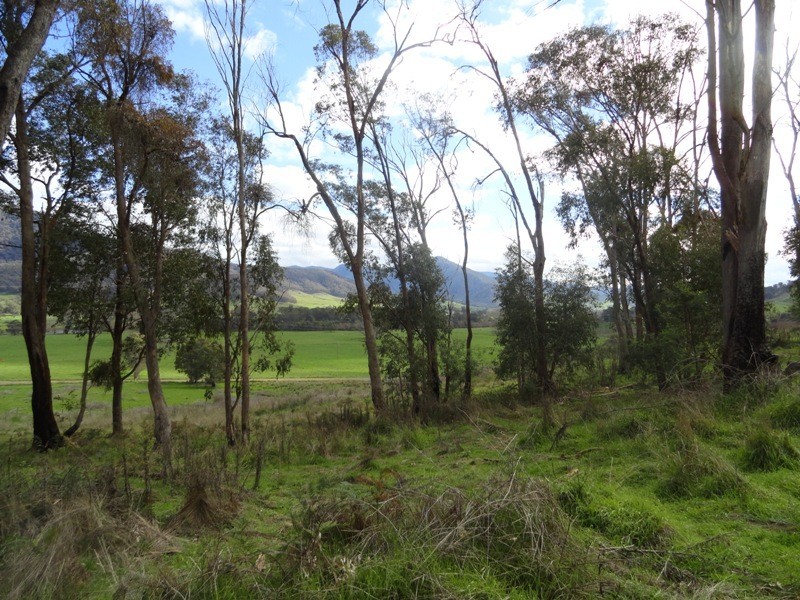 Lot 4 Larkin Lane, Upper Gundowring VIC 3691