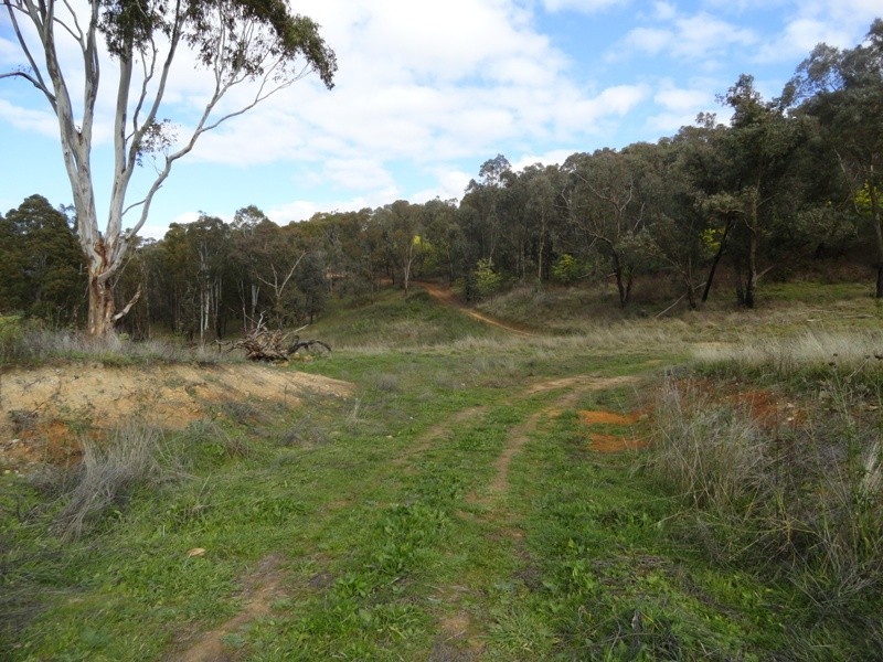 Lot 4 Larkin Lane, Upper Gundowring VIC 3691