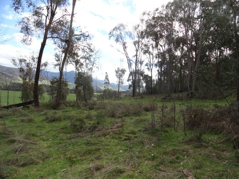 Lot 4 Larkin Lane, Upper Gundowring VIC 3691