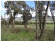 Lot 4 Larkin Lane, Upper Gundowring VIC 3691