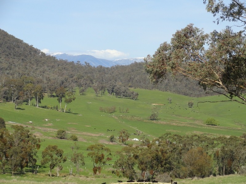 Lot 4 Larkin Lane, Upper Gundowring VIC 3691