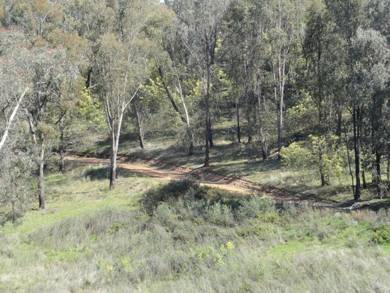 Lot 4 Larkin Lane, Upper Gundowring VIC 3691