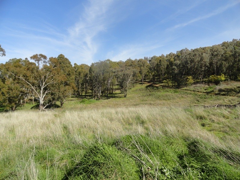 Lot 4 Larkin Lane, Upper Gundowring VIC 3691