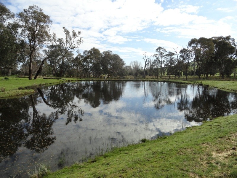 1440 Murray River Road, Talgarno VIC 3691