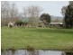 1440 Murray River Road, Talgarno VIC 3691