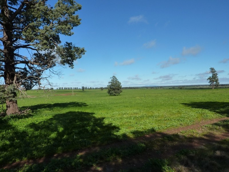 1849 Brushwood Road, Ganmain via, Wagga Wagga NSW 2650