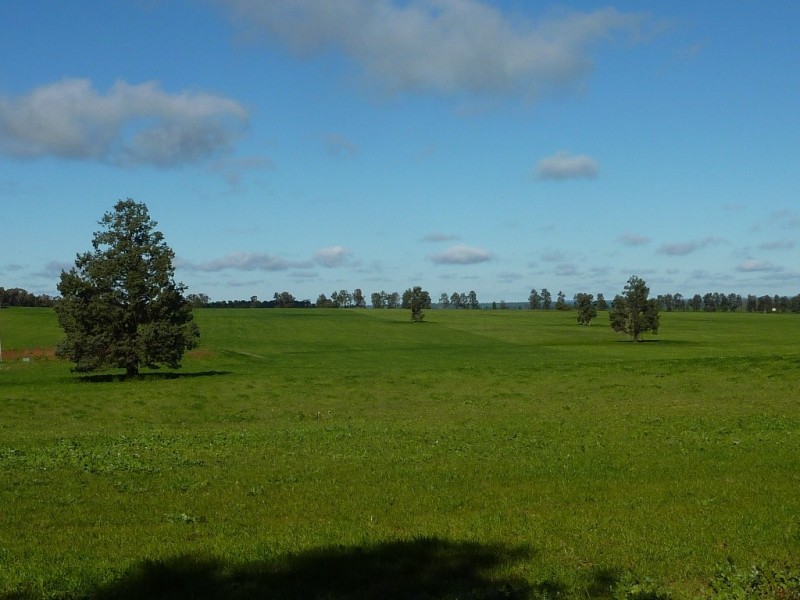 1849 Brushwood Road, Ganmain via, Wagga Wagga NSW 2650