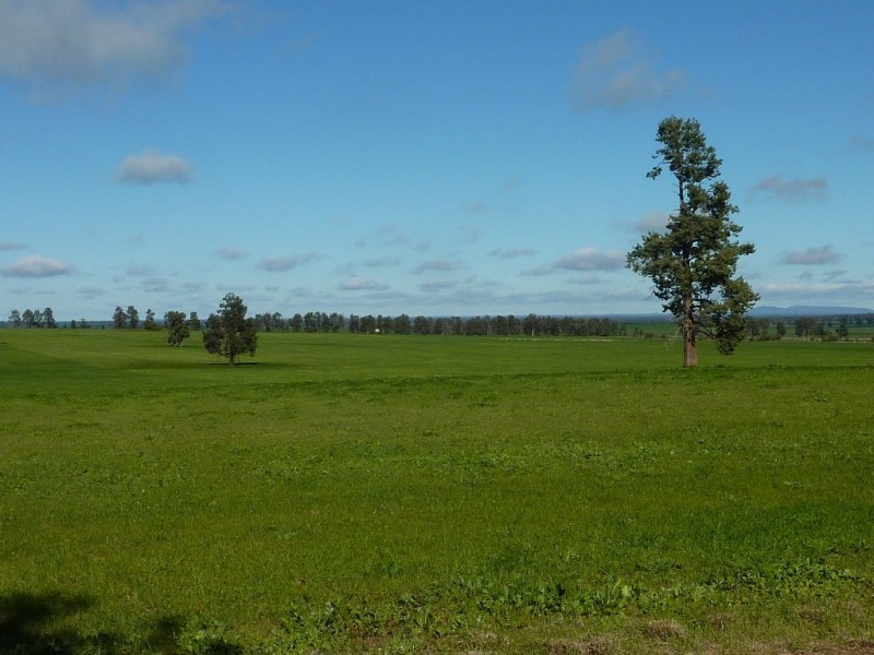 1849 Brushwood Road, Ganmain via, Wagga Wagga NSW 2650