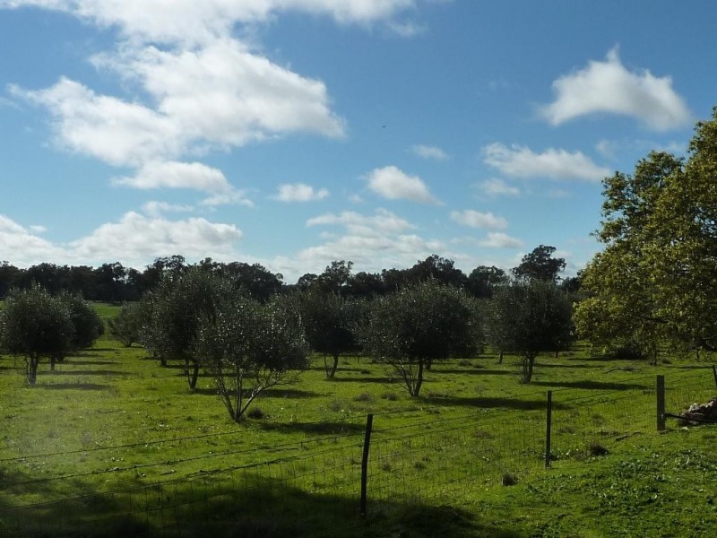 1849 Brushwood Road, Ganmain via, Wagga Wagga NSW 2650