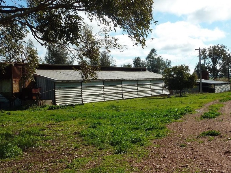 1849 Brushwood Road, Ganmain via, Wagga Wagga NSW 2650