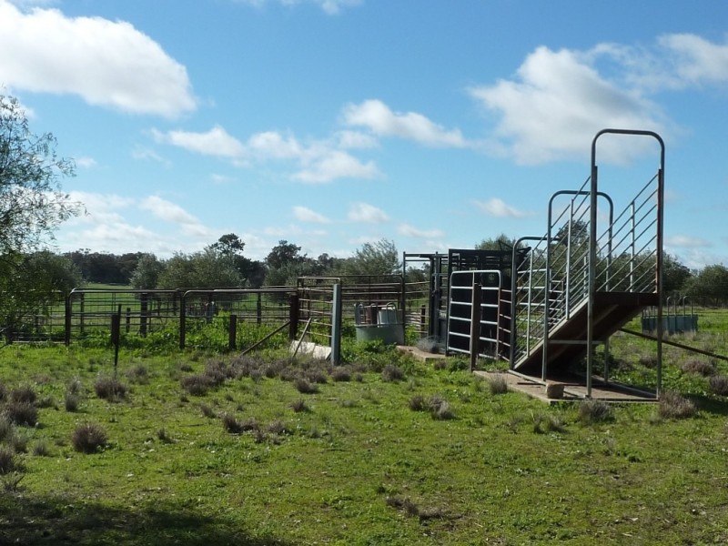 1849 Brushwood Road, Ganmain via, Wagga Wagga NSW 2650