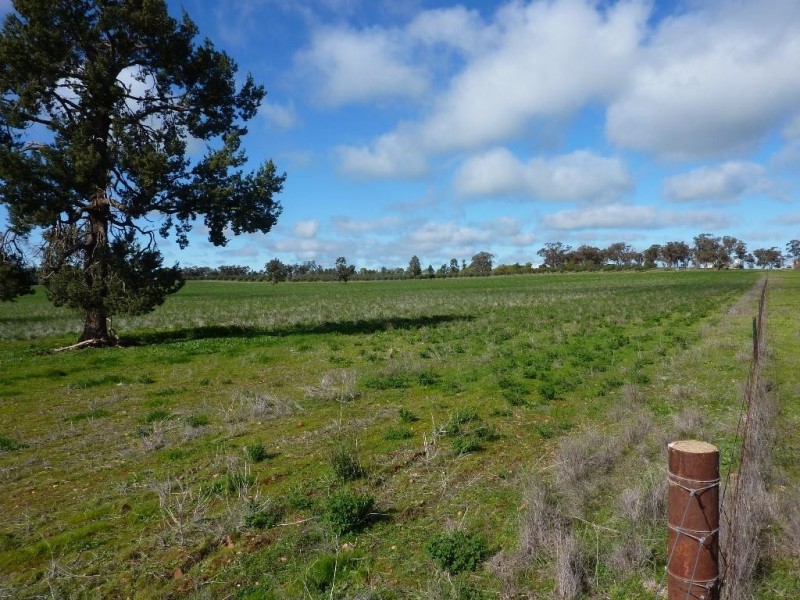 1849 Brushwood Road, Ganmain via, Wagga Wagga NSW 2650