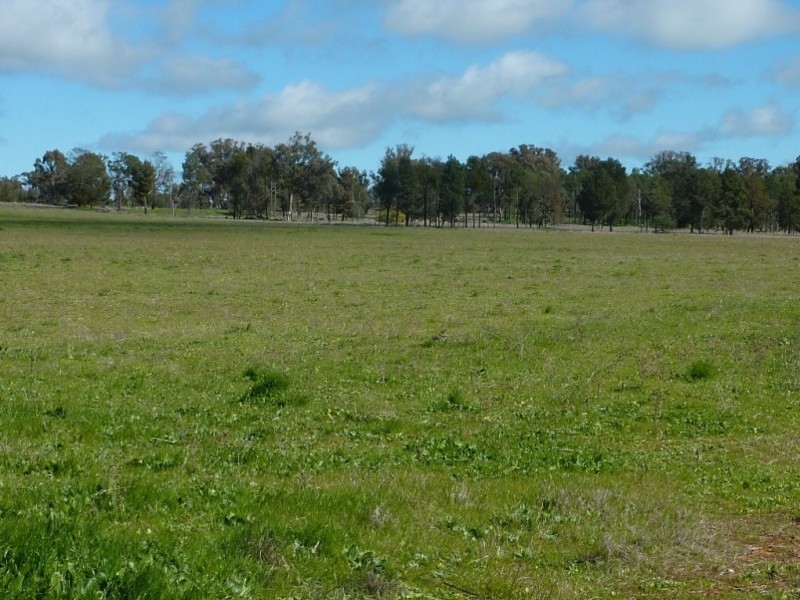 1849 Brushwood Road, Ganmain via, Wagga Wagga NSW 2650