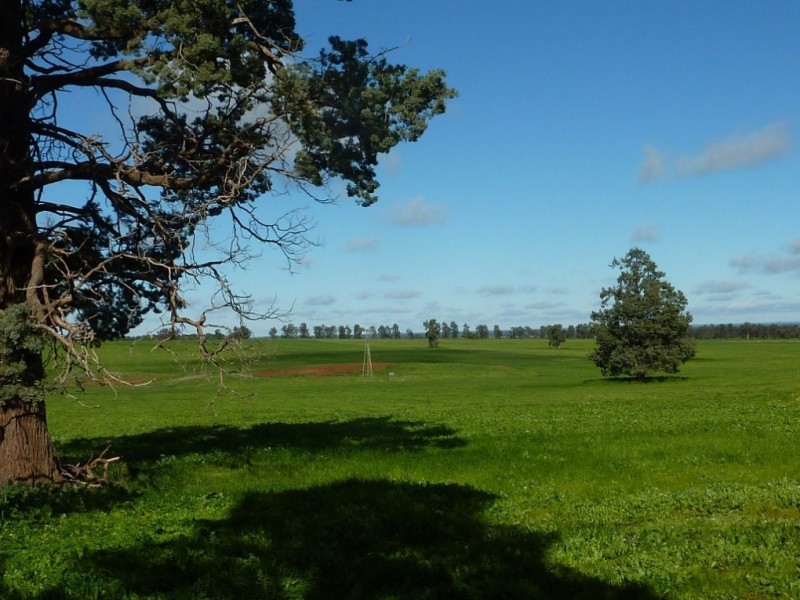 1849 Brushwood Road, Ganmain via, Wagga Wagga NSW 2650