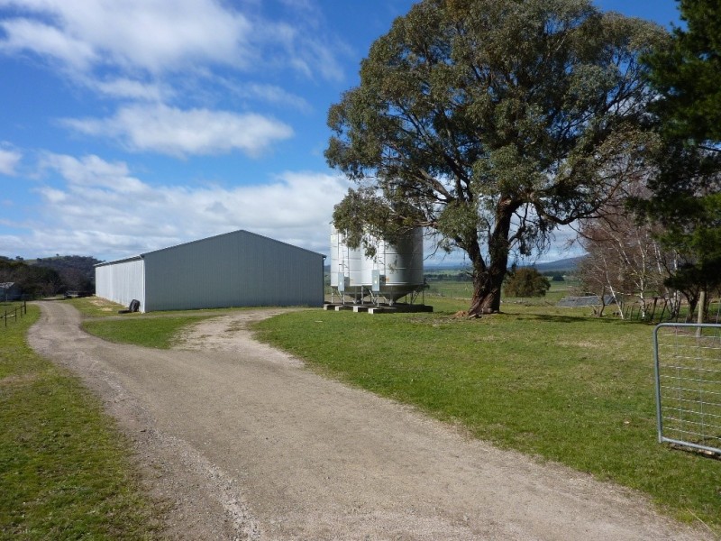 2637 Jingellic Road, Tumbarumba NSW 2653