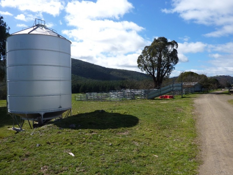 2637 Jingellic Road, Tumbarumba NSW 2653