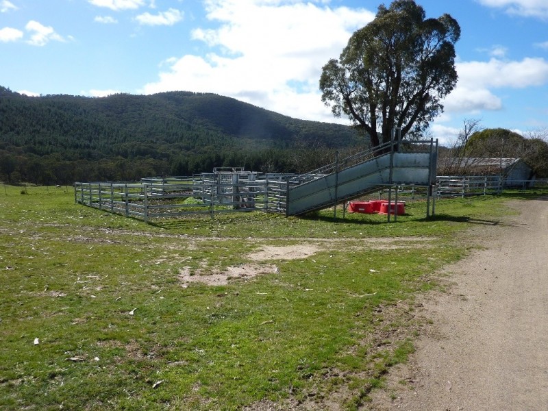 2637 Jingellic Road, Tumbarumba NSW 2653