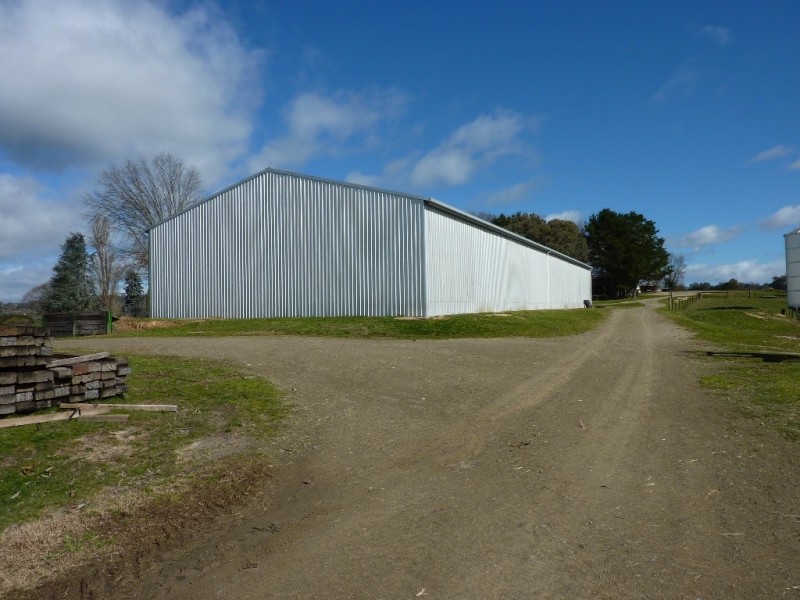 2637 Jingellic Road, Tumbarumba NSW 2653
